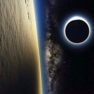 Meet your Posher, Djamshid